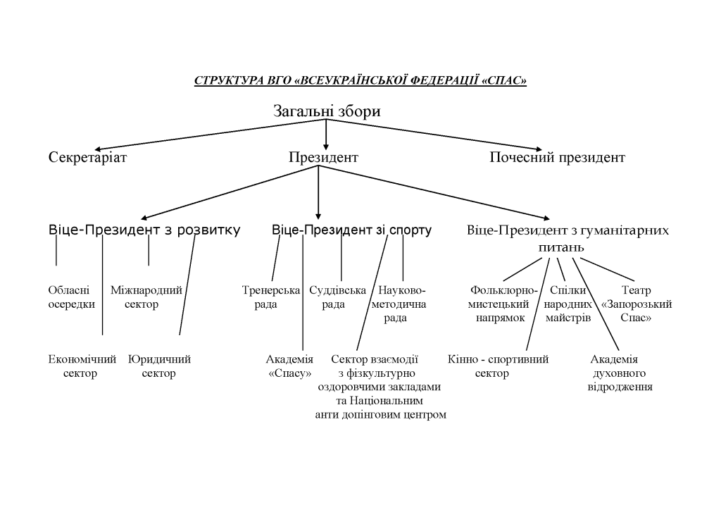 Структура ВГО Спас